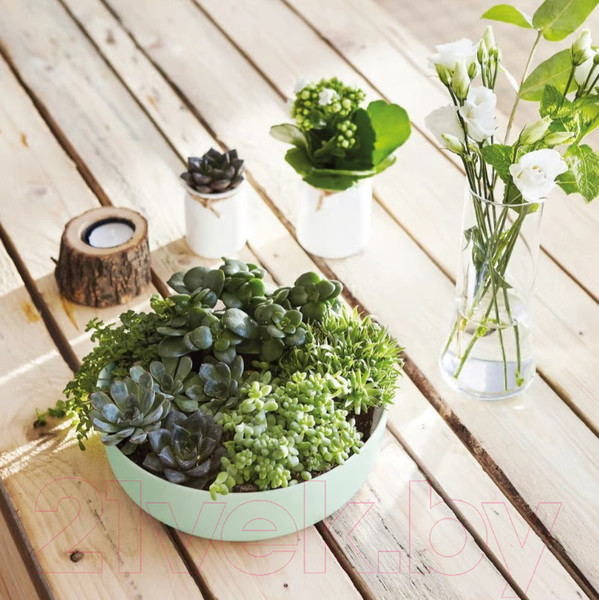 Изображение товара Салатник Luminarc Diwali Paradise Green V5846