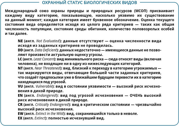Изображение товара Комикс Пешком в историю Морские животные в комиксах. Т3, твердая обложка (Казнов Кристоф)