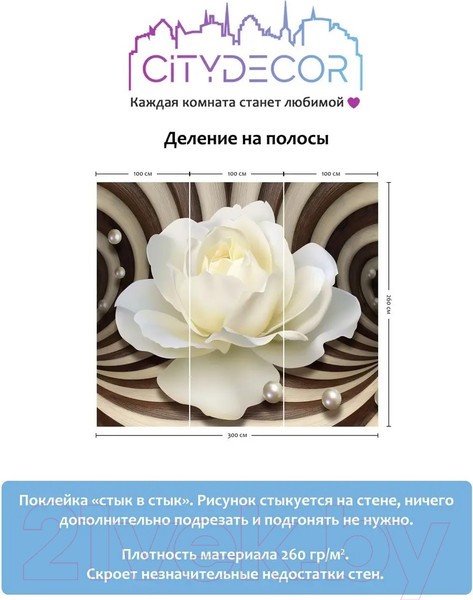Изображение товара Фотообои листовые Citydecor Абстракция 35 (300x260см)