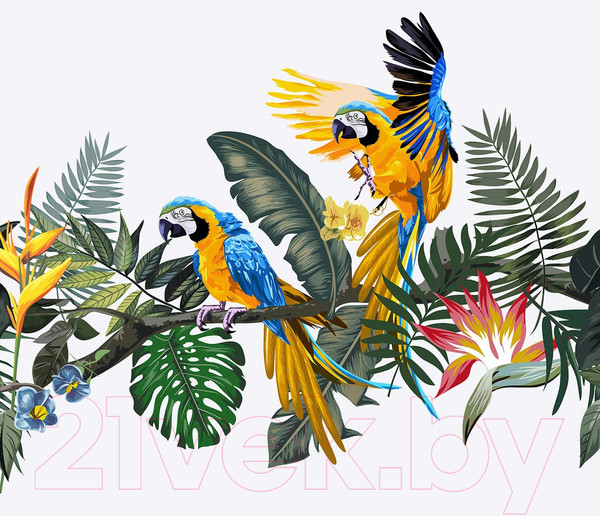 Изображение товара Фотообои листовые Citydecor Абстракция 394 (300x260см)