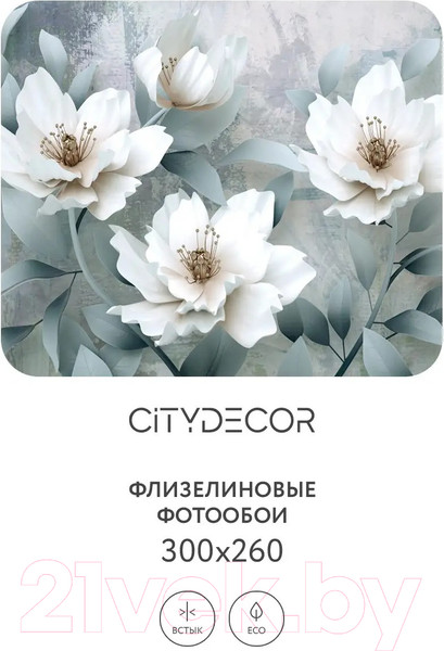 Изображение товара Фотообои листовые Citydecor Абстракция 41 (300x260см)