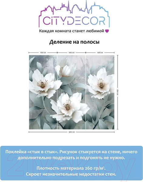 Изображение товара Фотообои листовые Citydecor Абстракция 41 (300x260см)