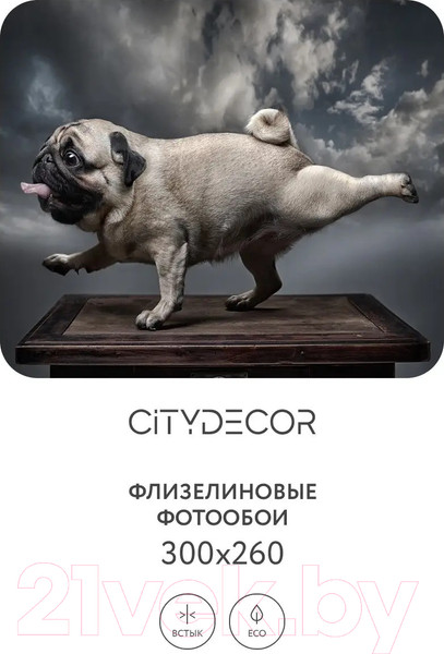 Изображение товара Фотообои листовые Citydecor Животные и Птицы 13 (300x260см)