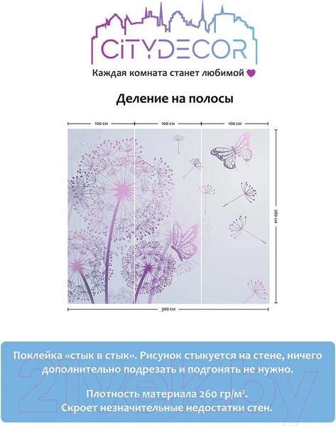 Изображение товара Фотообои листовые Citydecor Невесомость 12 (300x260см)