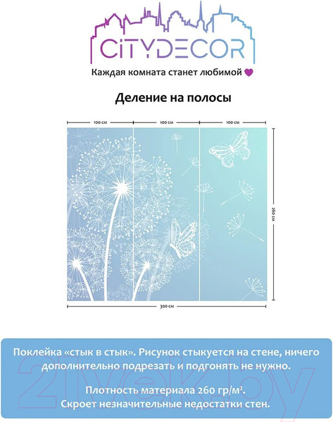 Изображение товара Фотообои листовые Citydecor Невесомость 2 (300x260см)