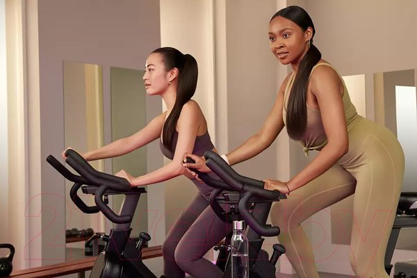 Изображение товара Выпрямитель для волос Philips BHS742/00