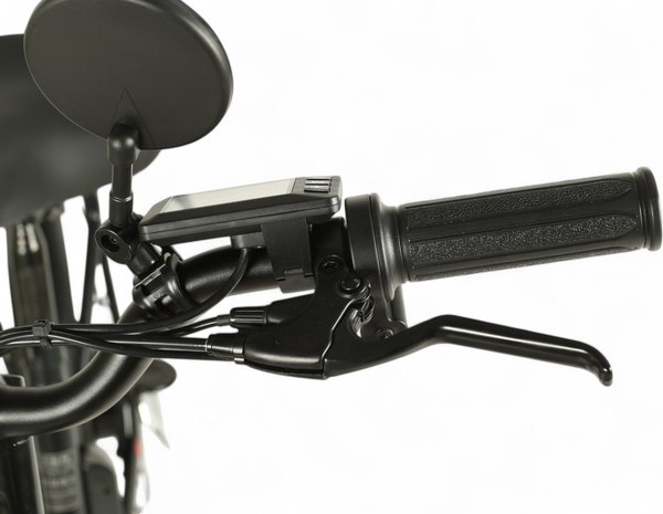 Изображение товара Электровелосипед Samebike Е-Alfa New со стальной рамой SB-E-ALFA500-48/13 (черный)