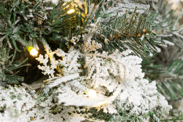 Изображение товара Ель искусственная Winter Fun Light Заснеженная / ML-0056-001 (180см)