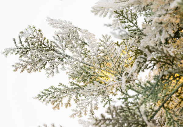 Изображение товара Ель искусственная Winter Fun Light Заснеженная / ML-0056-003 (300см)