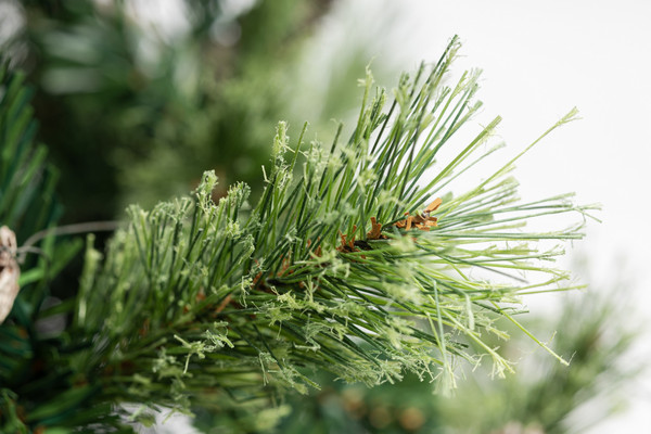 Изображение товара Ель искусственная Winter Fun Light / ML-0066-003 (210см)