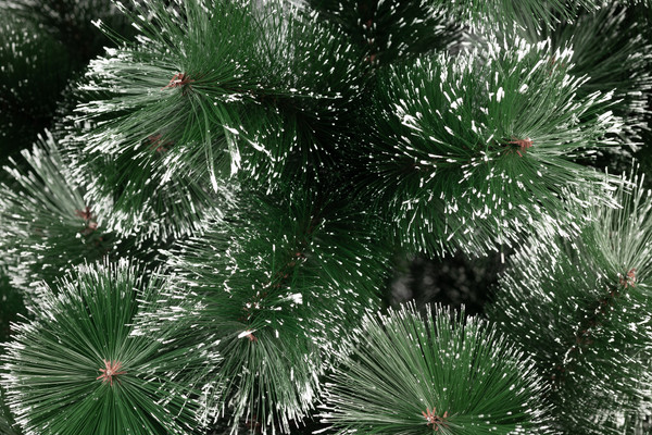 Изображение товара Сосна искусственная Winter Fun Drop / SZ611-150 (150см)