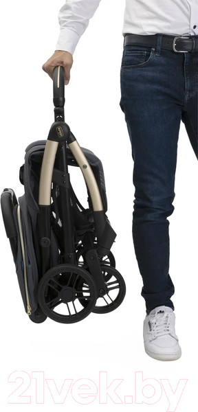 Изображение товара Детская прогулочная коляска Chicco Goody Xplus (Dark Shadow)