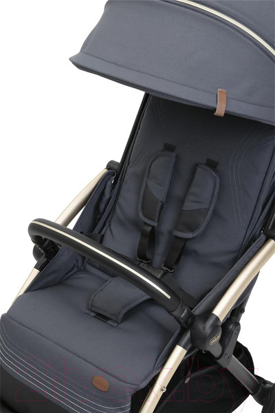 Изображение товара Детская прогулочная коляска Chicco Goody Xplus (Dark Shadow)