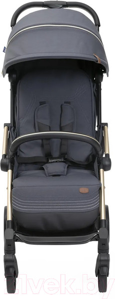Изображение товара Детская прогулочная коляска Chicco Goody Xplus (Dark Shadow)
