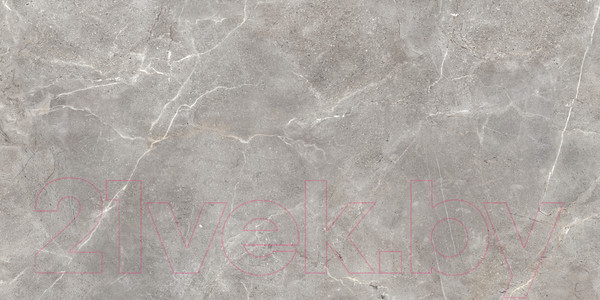 Изображение товара Плитка Cersanit Castello 17019 (448x898, серый)