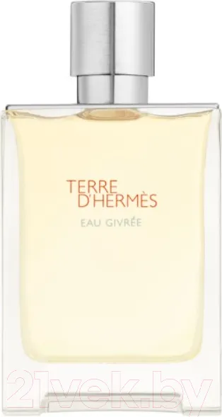 Изображение товара Парфюмерная вода Hermes Terre D'Hermes Eau Givree (100мл)