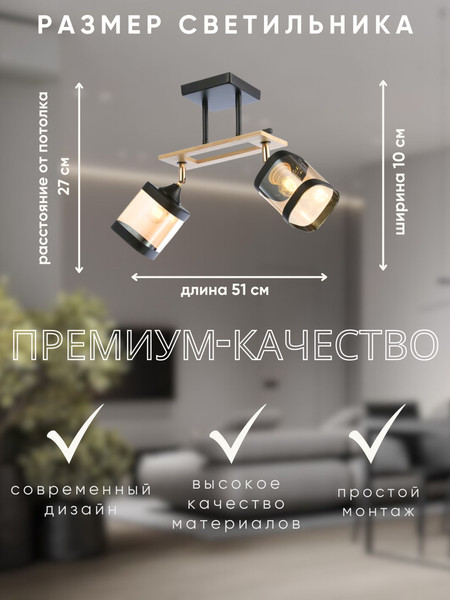 Изображение товара Потолочный светильник Aitin-Pro НПБ 02-2x60-101 / N4718/2 (черный/золото)