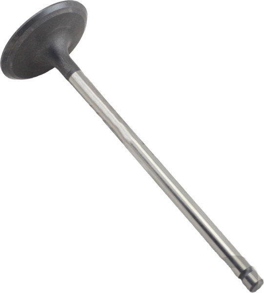 Изображение товара Впускной клапан двигателя Mitsubishi 1010A400