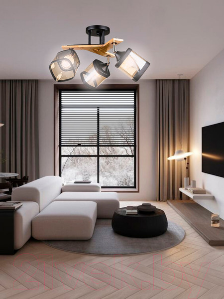 Изображение товара Спот Aitin-Pro НПБ 02-3x60-101 / N5292/3 (черный/дерево)