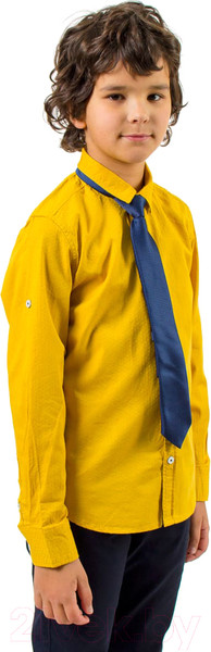 Изображение товара Рубашка детская Isee UN-72171B (р.42, желтый)