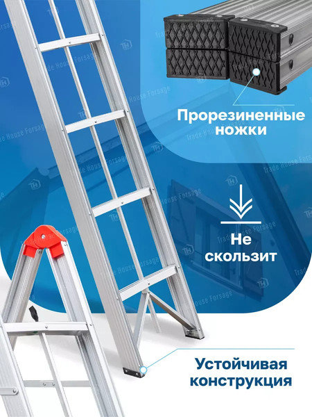 Изображение товара Лестница-стремянка Forsage F-TL603-6