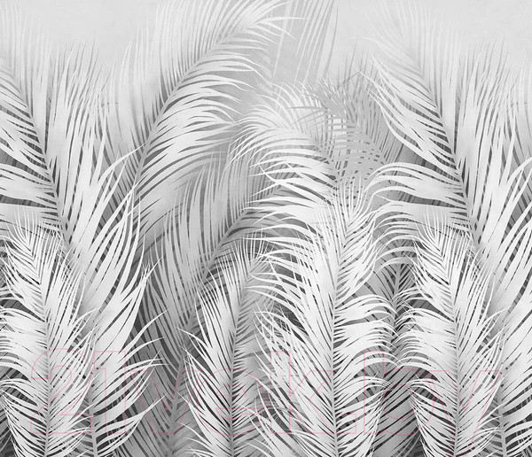 Изображение товара Фотообои листовые Citydecor Пальмовые листья Air 74 (300x260см)