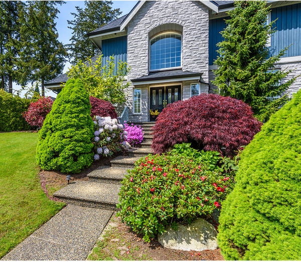 Изображение товара Фотообои листовые Citydecor Природа 101 (300x260см)