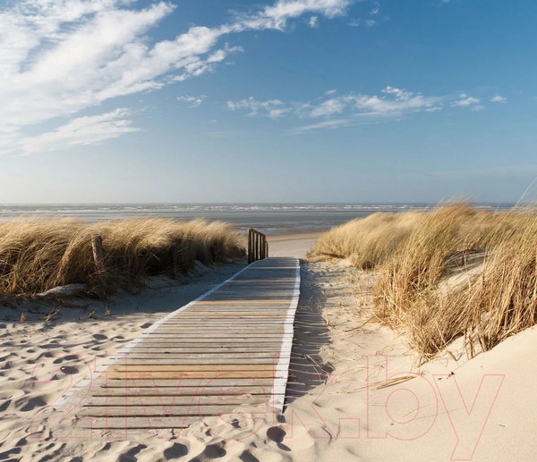 Изображение товара Фотообои листовые Citydecor Природа 13 (300x260см)