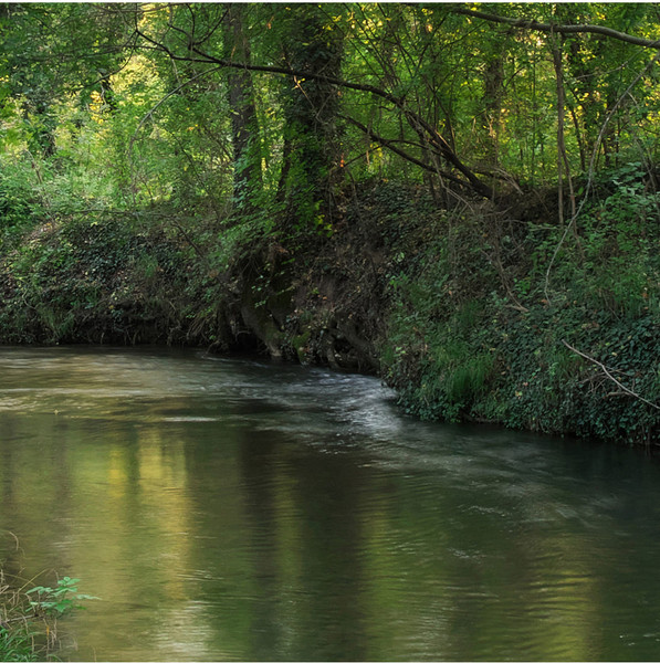 Изображение товара Фотообои листовые Citydecor Природа 93 (300x260см)