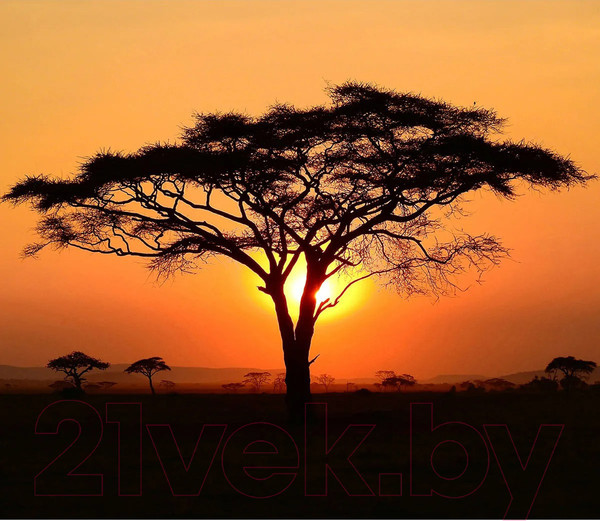 Изображение товара Фотообои листовые Citydecor Природа 94 (300x260см)