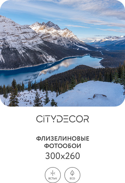 Изображение товара Фотообои листовые Citydecor Природа 97 (300x260см)