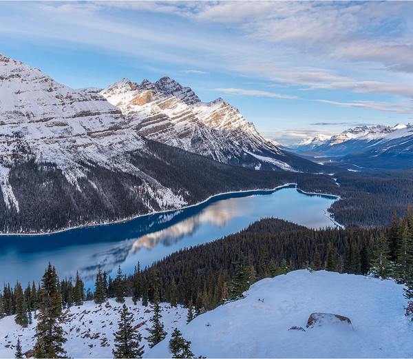 Изображение товара Фотообои листовые Citydecor Природа 97 (300x260см)