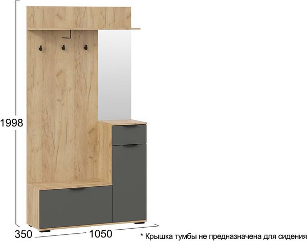 Изображение товара Секция в прихожую ТриЯ Эвита №1 (дуб крафт золотой/графит серый)