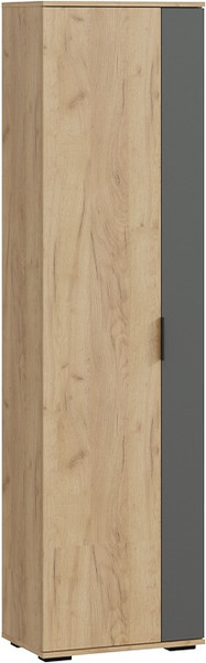 Изображение товара Секция в прихожую ТриЯ Эвита №1 (дуб крафт золотой/графит серый)