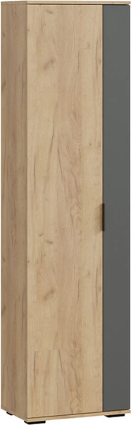 Изображение товара Секция в прихожую ТриЯ Эвита №2 (дуб крафт золотой/графит серый)