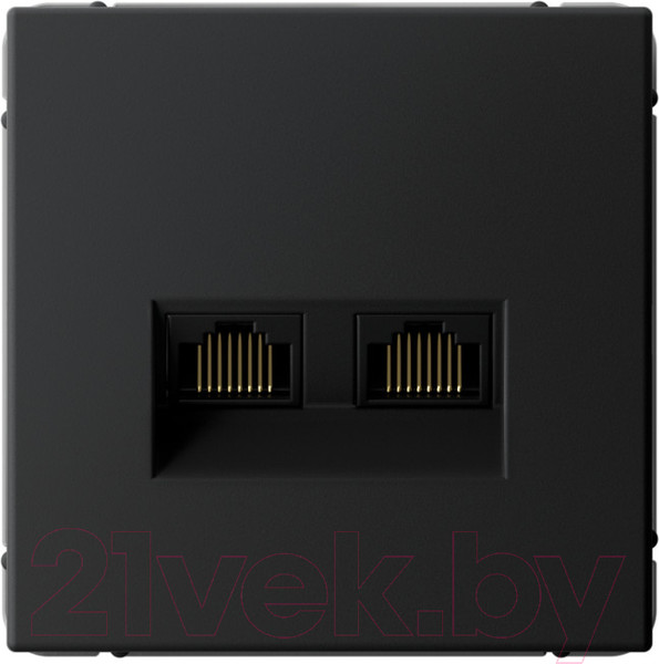 Изображение товара Розетка Systeme (Schneider) Electric ArtGallery GAL001088