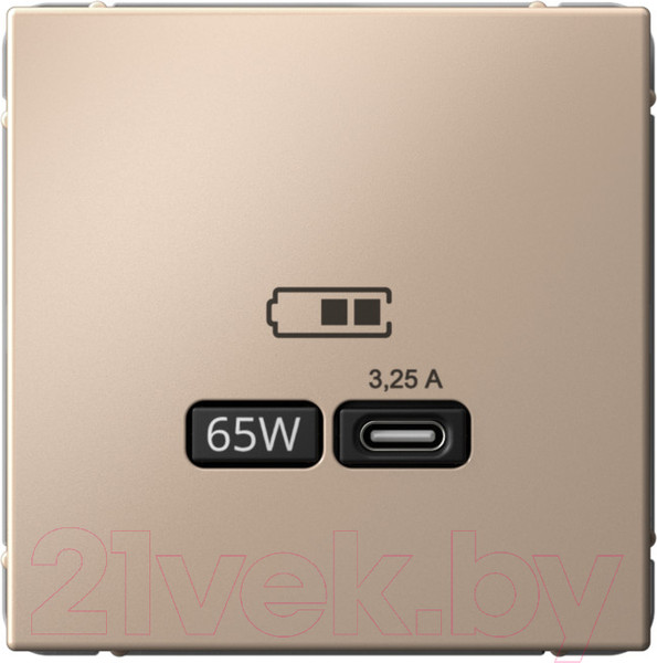 Изображение товара Розетка Systeme (Schneider) Electric ArtGallery GAL001227