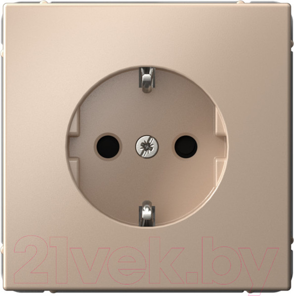 Изображение товара Розетка Systeme (Schneider) Electric ArtGallery GAL001245