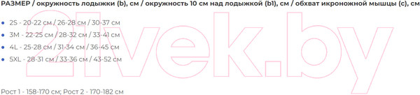 Изображение товара Рукав компрессионный Польза 2001 на голень 2 кл.к. (р.5, (XL) рост1, бежевый)