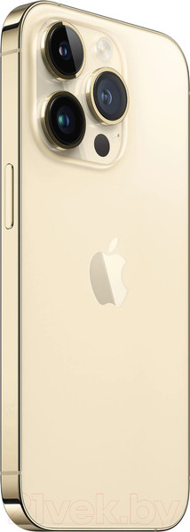 Изображение товара Смартфон восстановленный Apple iPhone 14 Pro Max 128GB Flip Грейд B (золото)