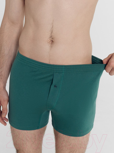 Изображение товара Комплект мужских трусов Mark Formelle 411152-2 (р.102-112, зеленый/кэш на черном)
