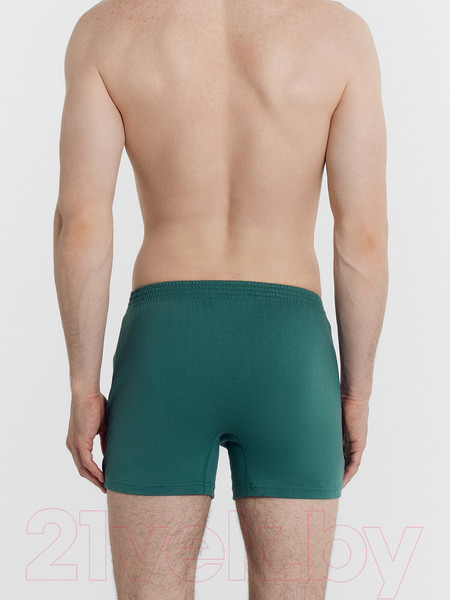 Изображение товара Комплект мужских трусов Mark Formelle 411152-2 (р.102-112, зеленый/кэш на черном)