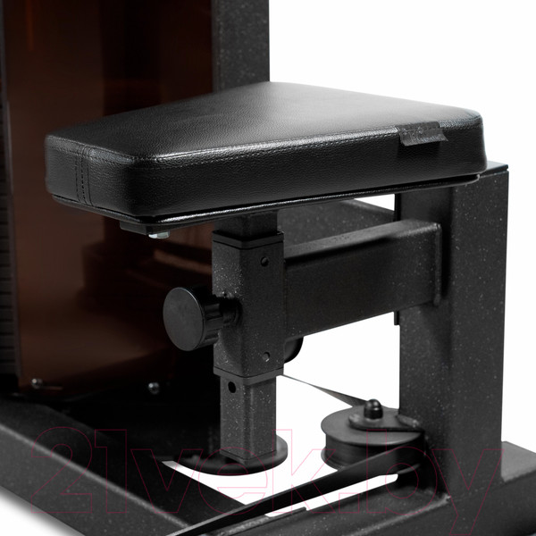 Изображение товара Силовой тренажер Bronze Gym Partner ML-803