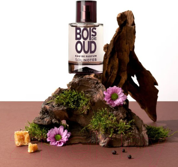 Изображение товара Парфюмерная вода Solinotes Bois De Oud (50мл)