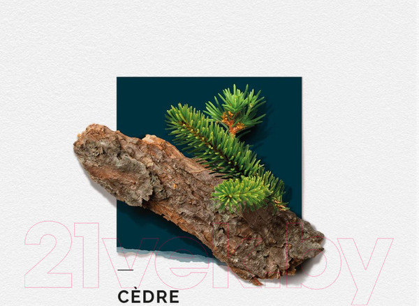 Изображение товара Парфюмерная вода Solinotes Cedre (50мл)