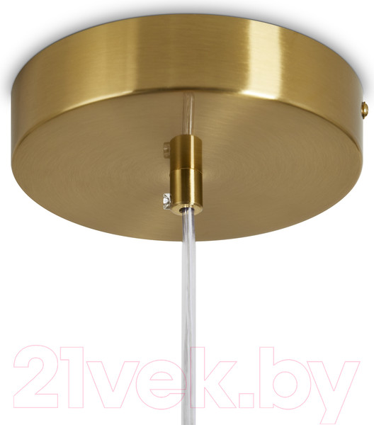 Изображение товара Потолочный светильник Freya Sabi FR6131PL-L13BS