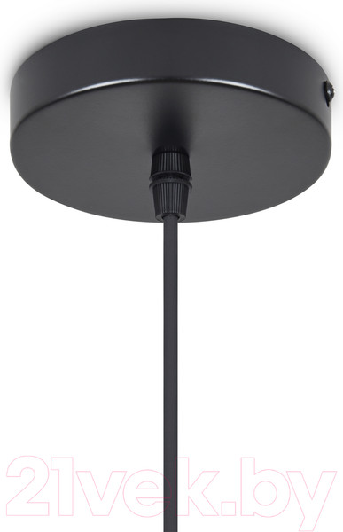 Изображение товара Потолочный светильник Freya Cottage FR5405PL-01B3