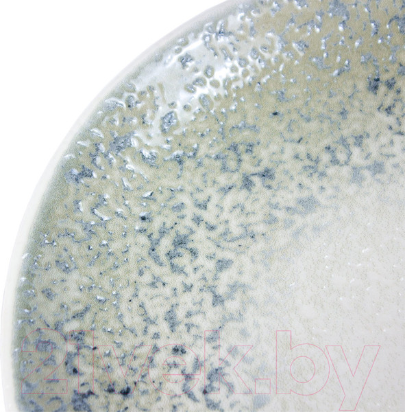 Изображение товара Тарелка столовая обеденная By Bone TN-NM-ZT-27-DZ