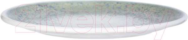 Изображение товара Тарелка столовая обеденная By Bone TN-NM-ZT-27-DZ