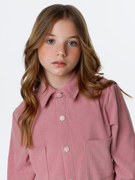 Изображение товара Рубашка детская Amarobaby Velvet / AB-OD23-V33/06-128 (розовый, р.128)